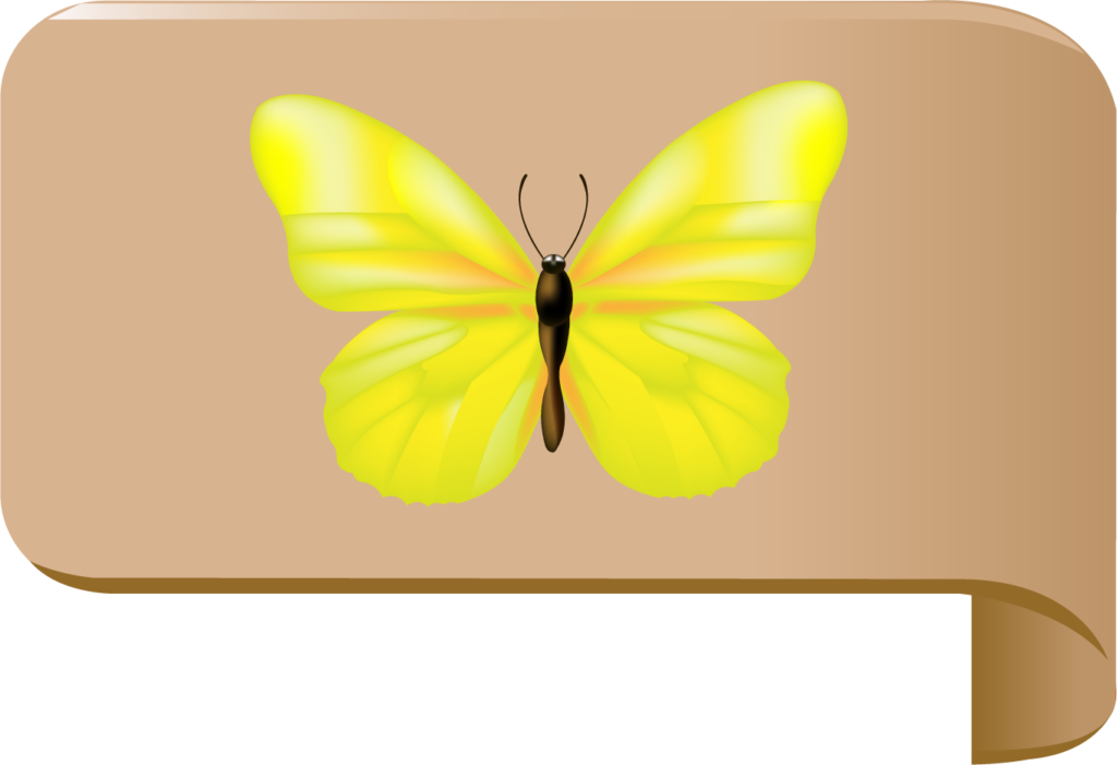Emeraude Création