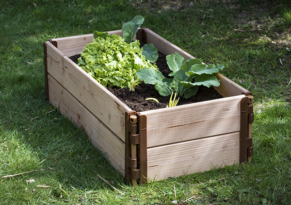 Petit carré potager (sans fond) – Image 2
