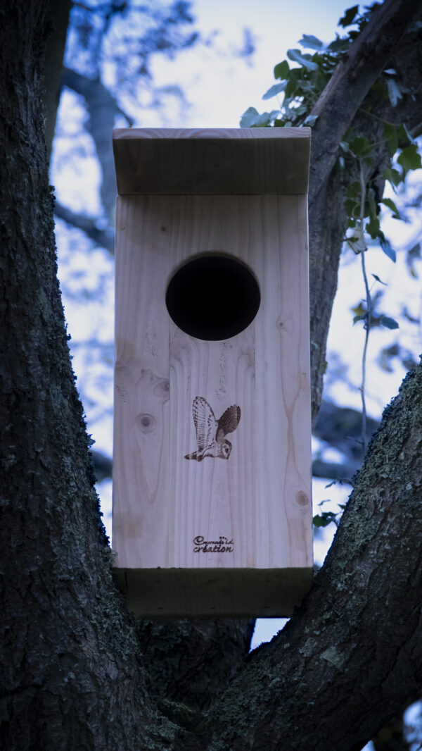 Nichoir à chouette