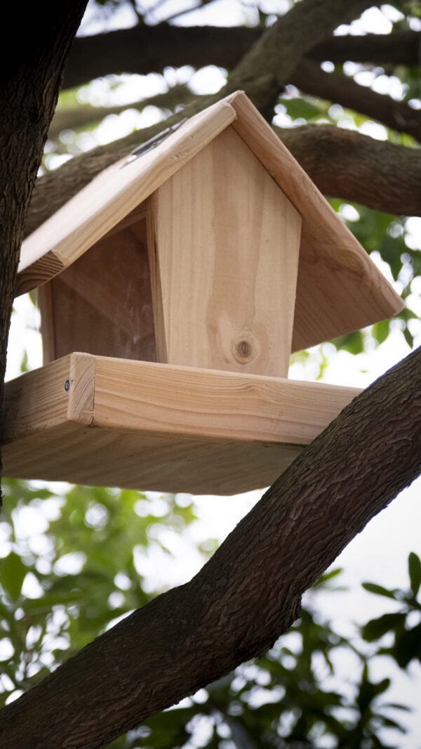 Mangeoire pour oiseaux (grand modèle)